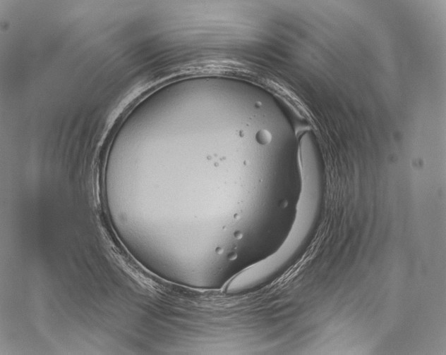 X0000069361083200606021447