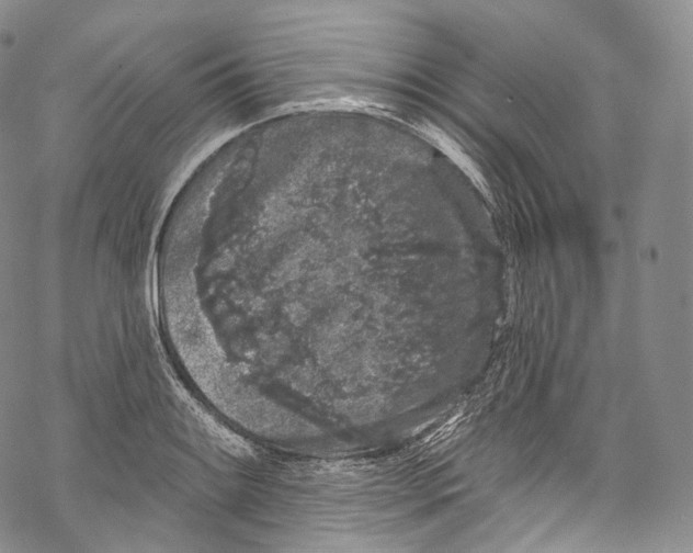 X0000069361084200606021447