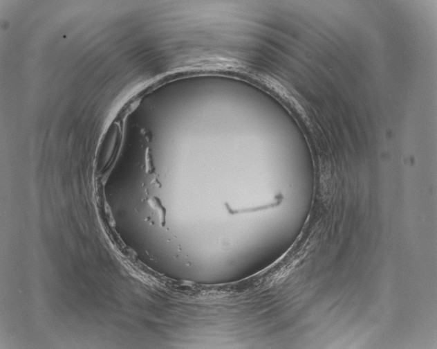 X0000069361085200606021447