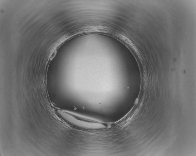 X0000069361089200606021447