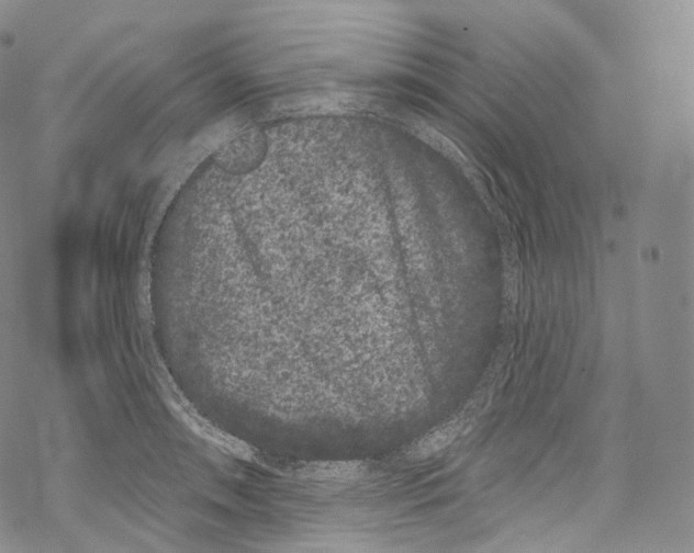 X0000069361090200606021447