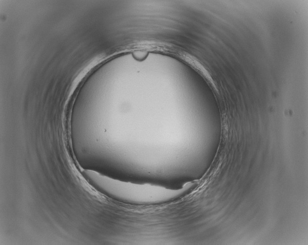 X0000069361091200606021447