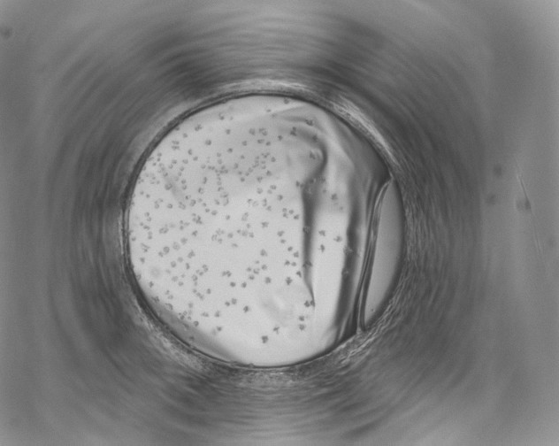 X0000069361092200606021447