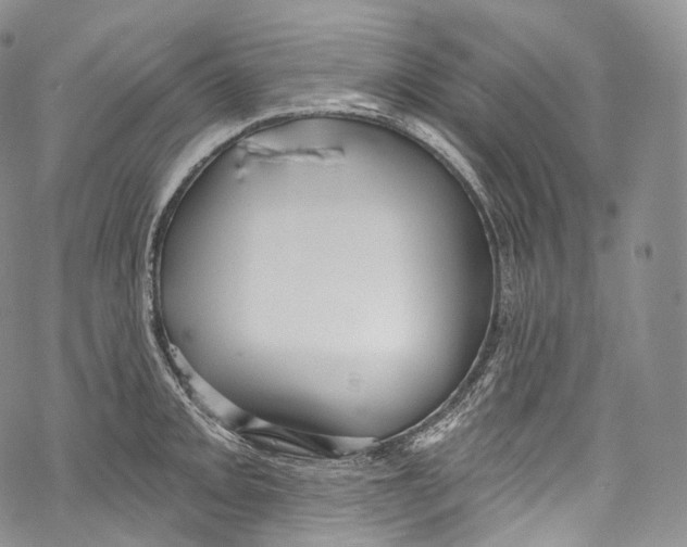 X0000069361093200606021447