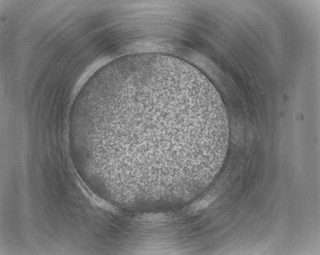 X0000069361094200606021447