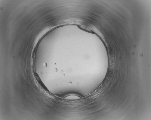 X0000069361096200606021447