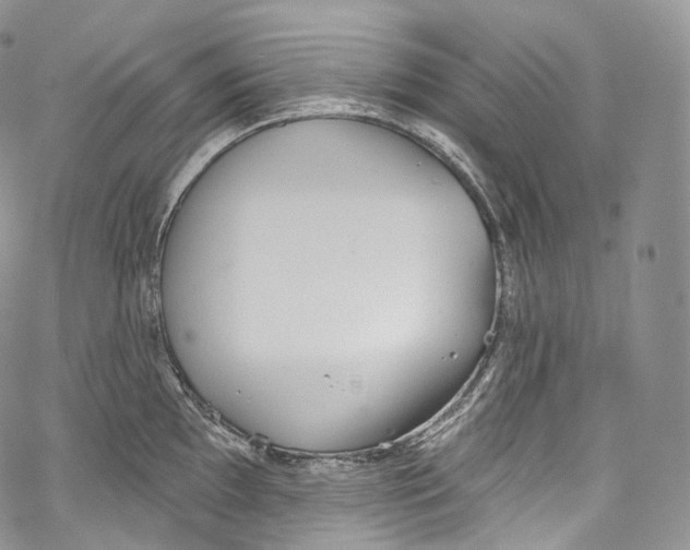 X0000069361097200606021447