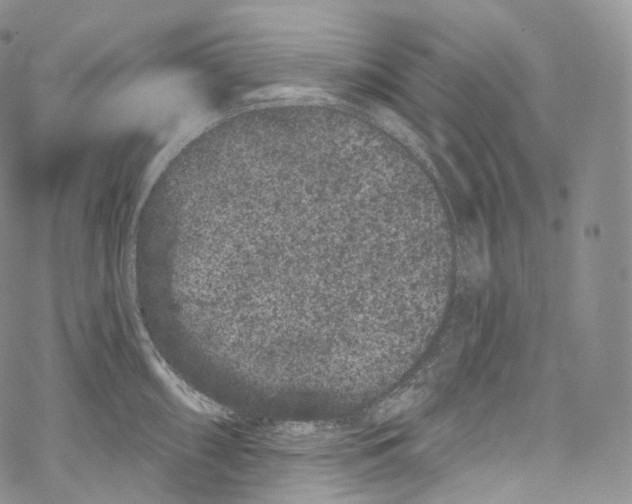 X0000069361098200606021447