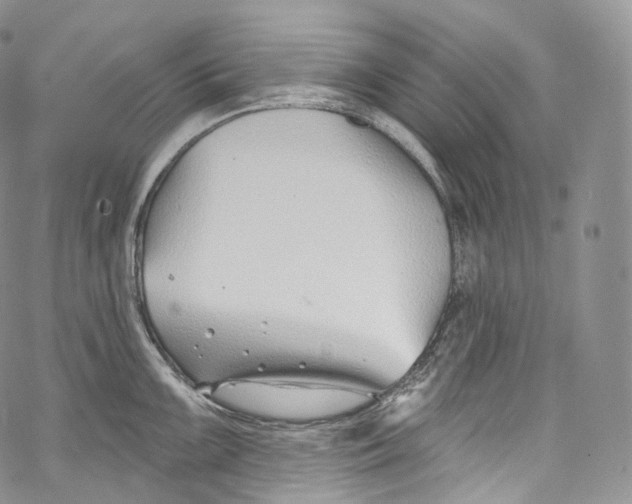 X0000069361099200606021447