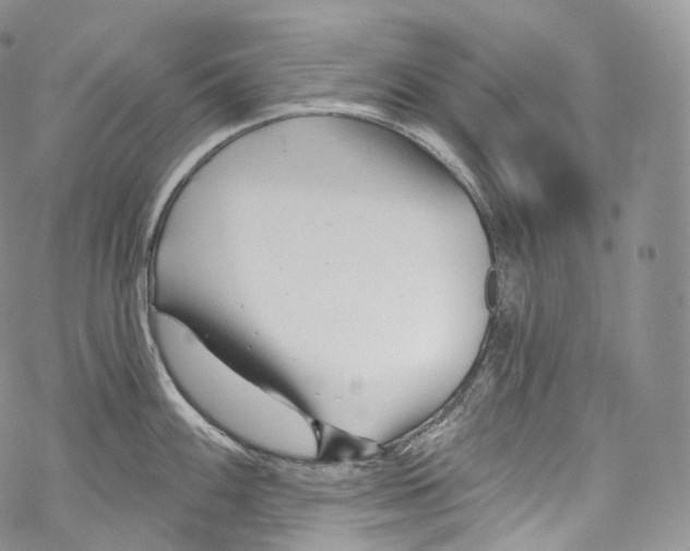 X0000069361100200606021447