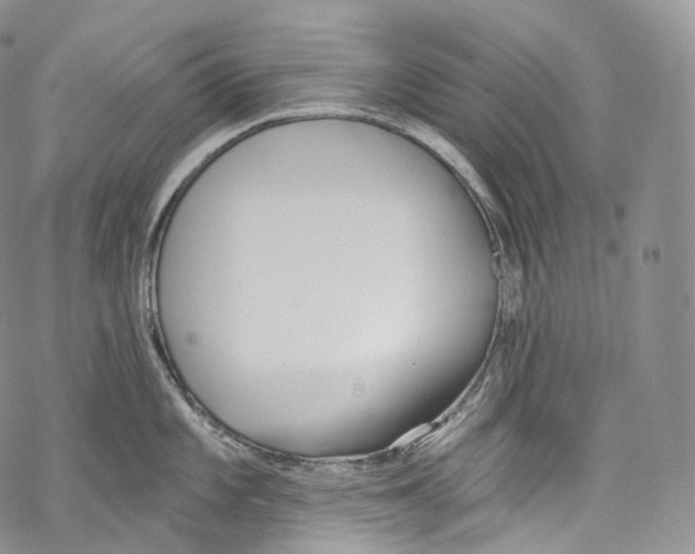 X0000069361101200606021447