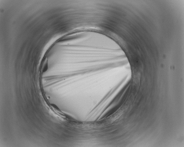 X0000069361102200606021447