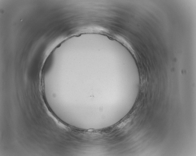 X0000069361103200606021447