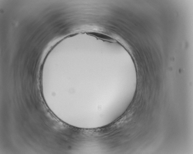 X0000069361104200606021447