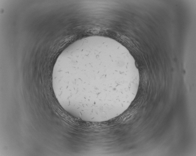 X0000069361105200606021446