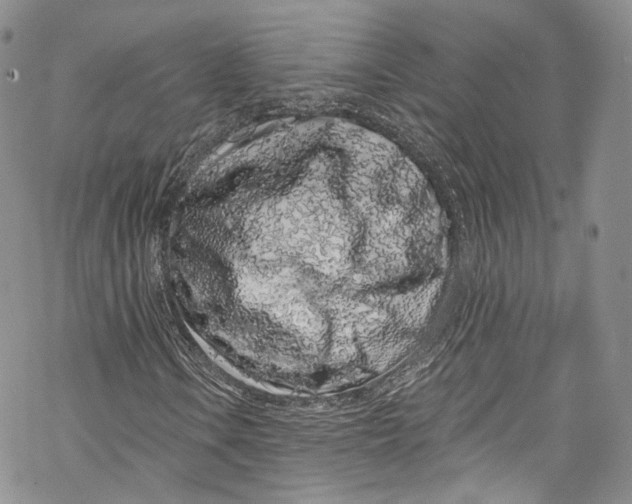 X0000069361106200606021446