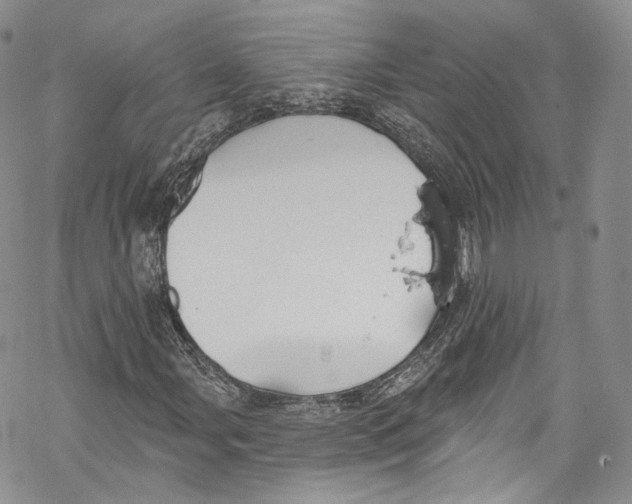 X0000069361107200606021446