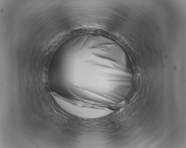 X0000069361110200606021446