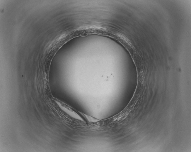 X0000069361111200606021446