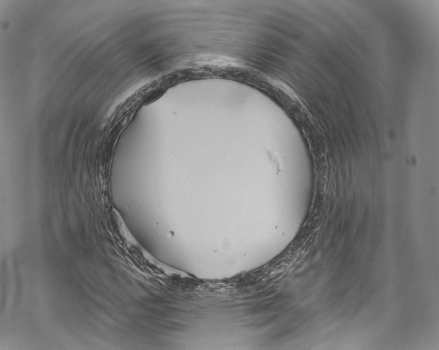 X0000069361112200606021446