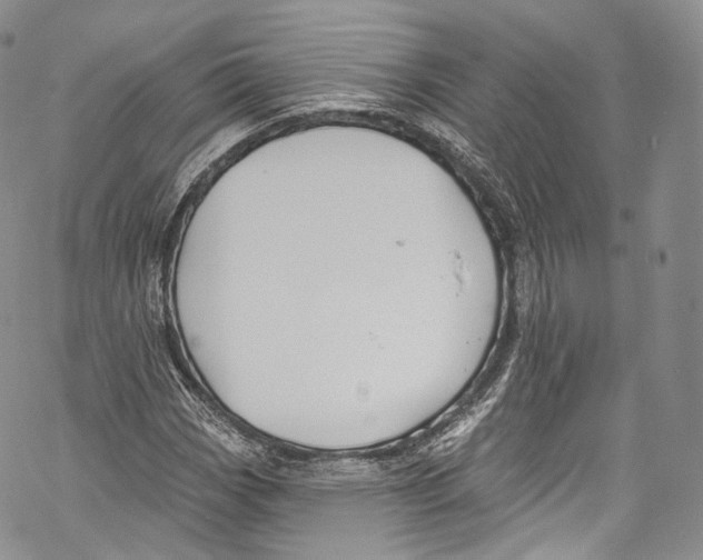 X0000069361113200606021446