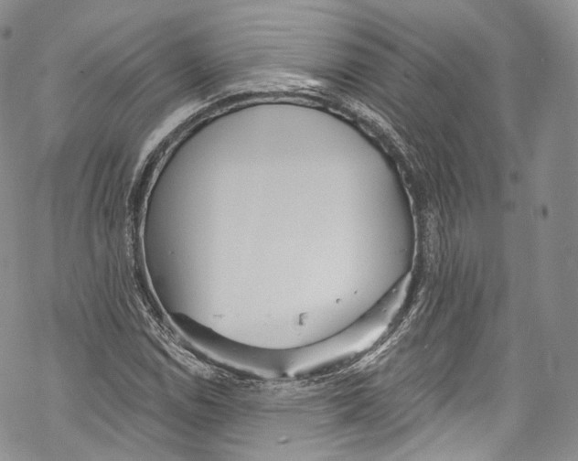 X0000069361114200606021446