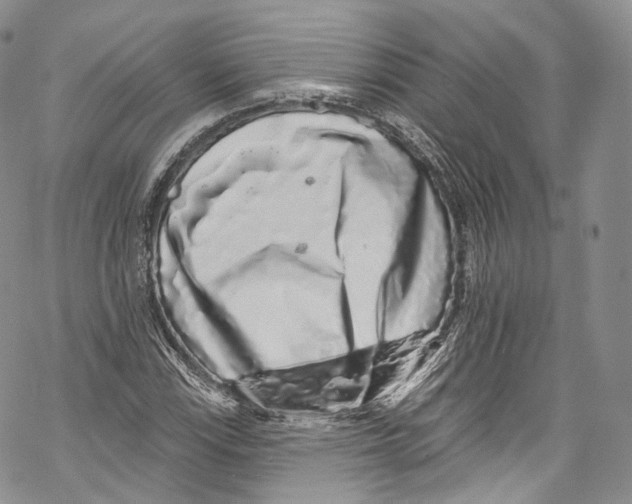 X0000069361115200606021446