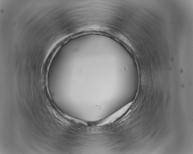 X0000069361116200606021446