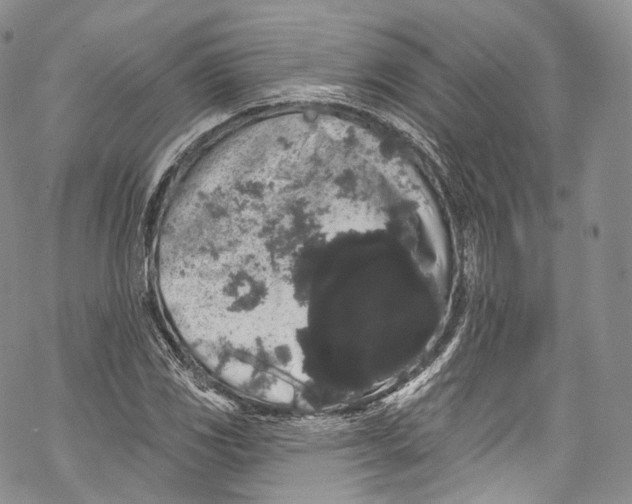 X0000069361117200606021446