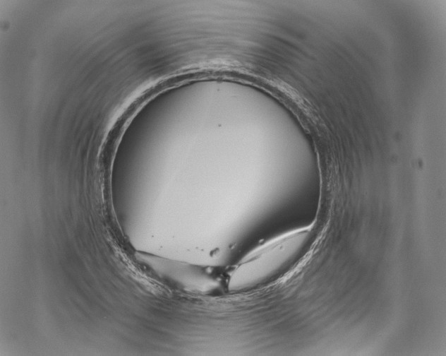 X0000069361118200606021446