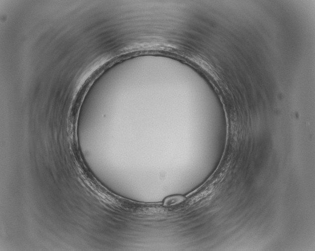 X0000069361119200606021446