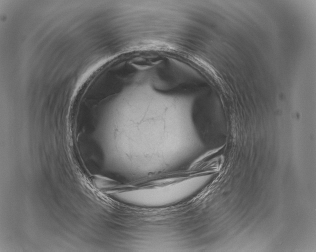 X0000069361120200606021446