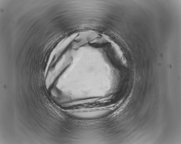 X0000069361121200606021446