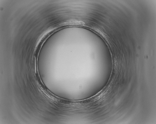 X0000069361123200606021446