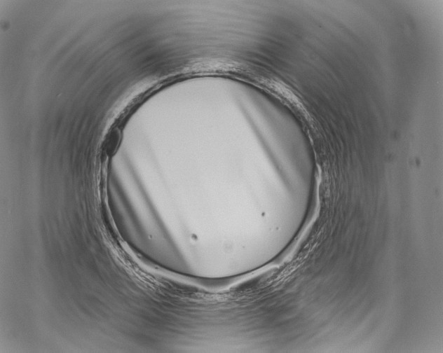 X0000069361124200606021446