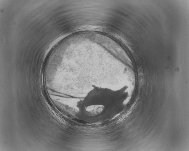 X0000069361125200606021446