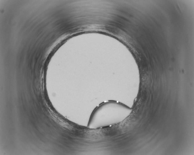 X0000069361126200606021446