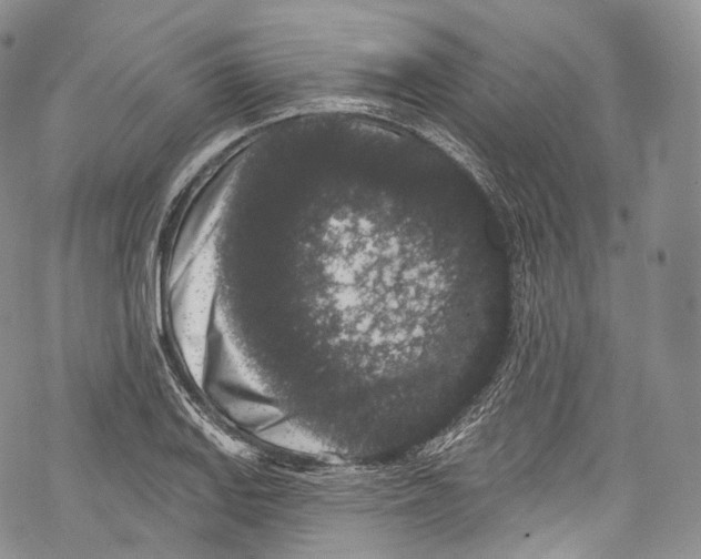 X0000069361127200606021446