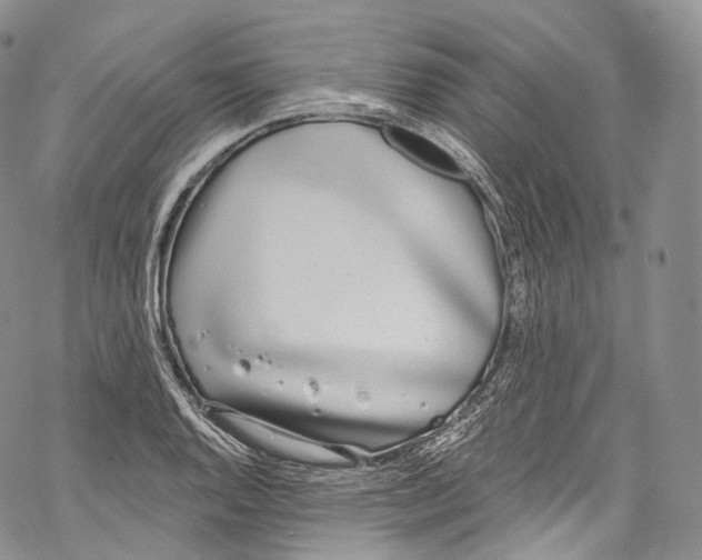 X0000069361128200606021446