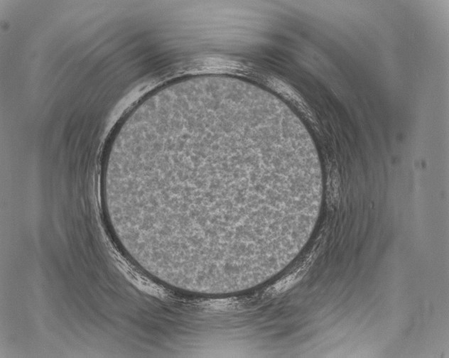 X0000069361130200606021446