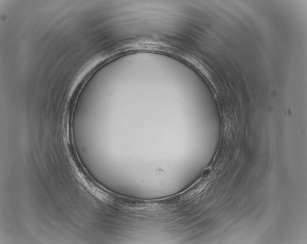 X0000069361131200606021446