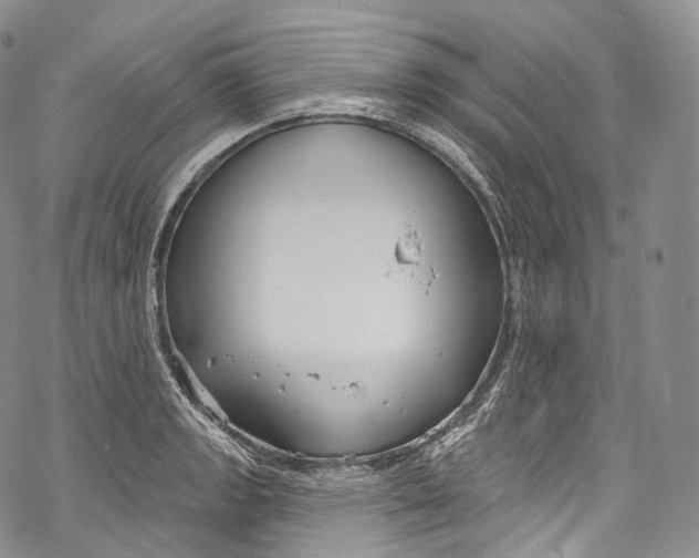 X0000069361133200606021446