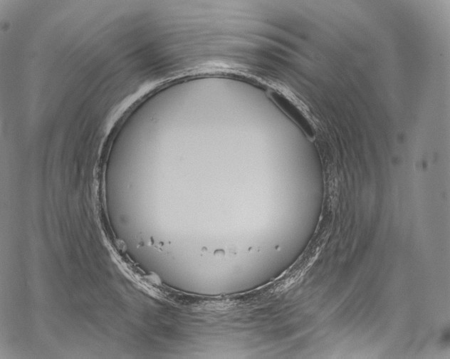 X0000069361134200606021446