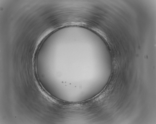 X0000069361135200606021446