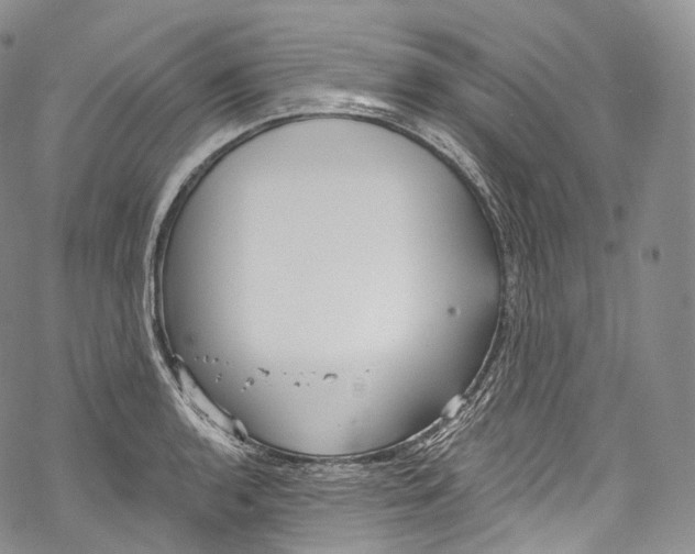 X0000069361136200606021446