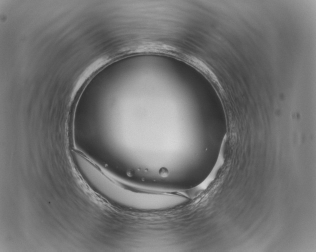 X0000069361138200606021446