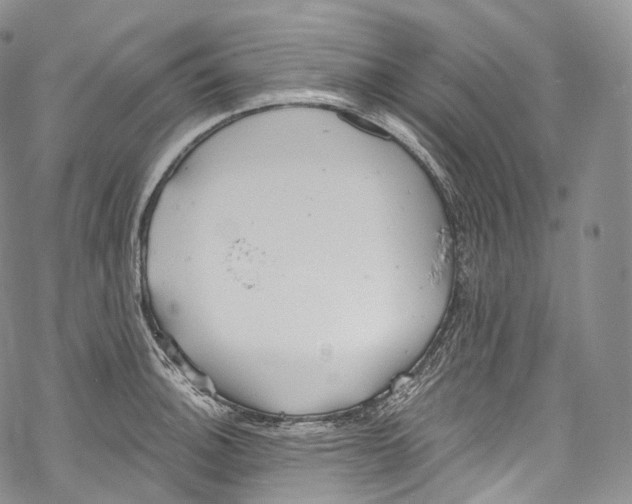 X0000069361140200606021446