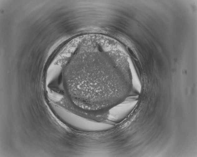 X0000069361141200606021446