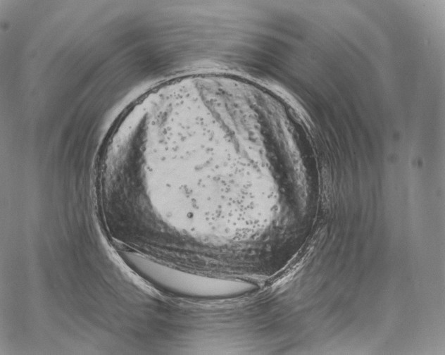 X0000069361142200606021446