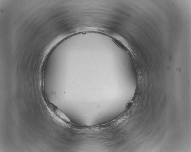 X0000069361143200606021446